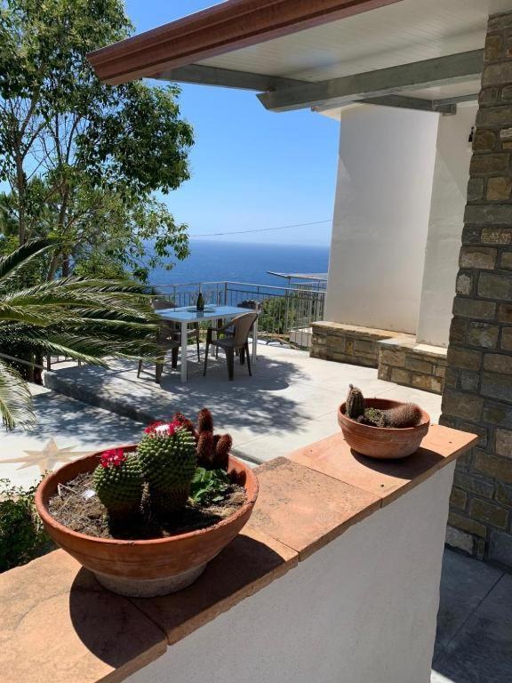 Casa Livia Διαμέρισμα Castellabate Εξωτερικό φωτογραφία